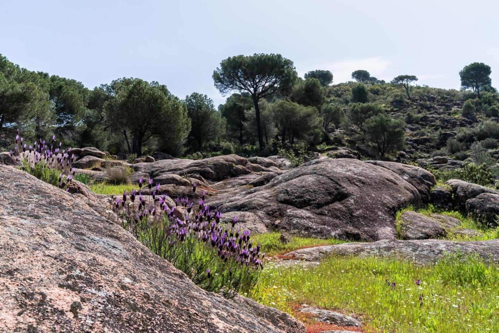 Casa El Paraiso Del Lago Alojamiento Rural Córdoba Eksteriør bilde